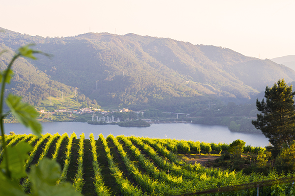 Despedidas originales en Galicia